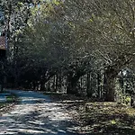 Casa Do Bosque